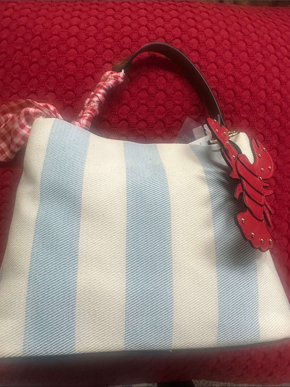 Striped Blue & White Canvas Shoulder Bag with Red lobster Accent